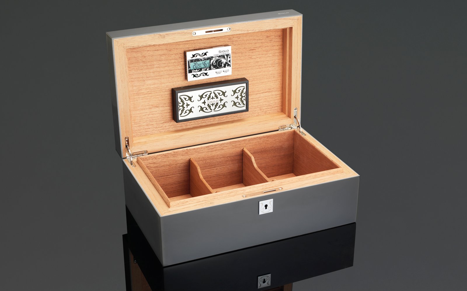 Dog In Black Humidor